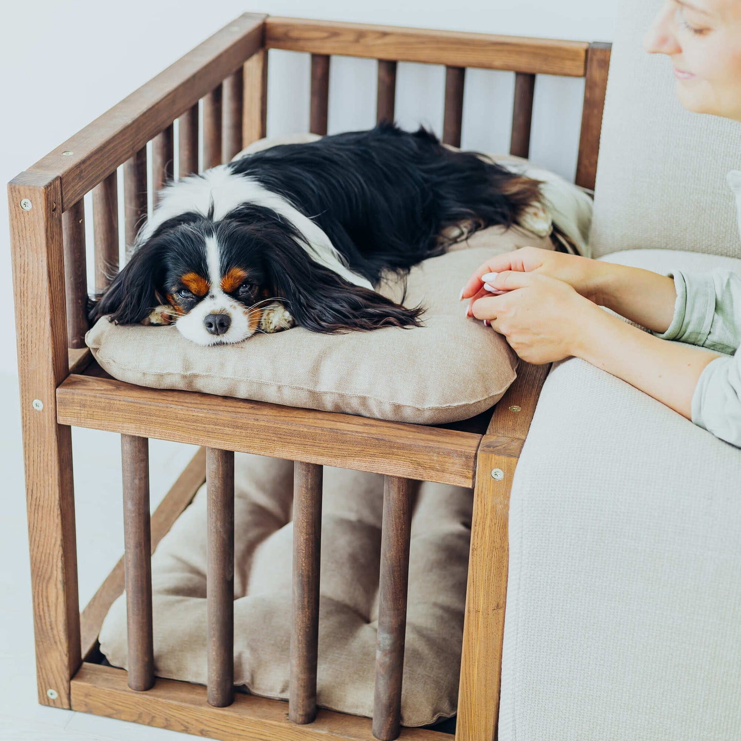 Wooden Dog Bed Platform with Cozy Pillows